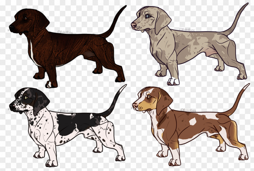 Dachshund Harrier English Foxhound Redbone Coonhound Beagle Dog Breed PNG