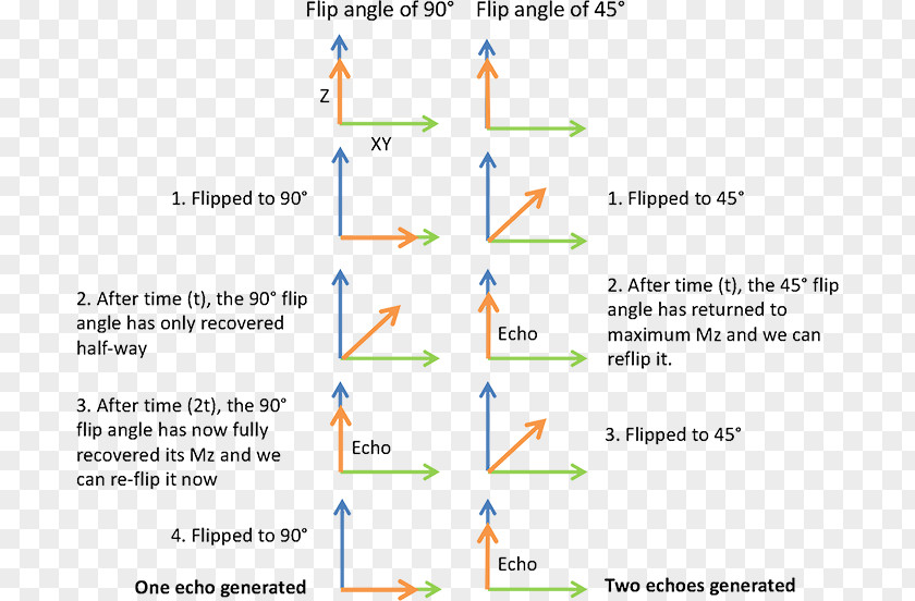 Flip Angle Magnetic Resonance Imaging Gradient Echo Spin Nuclear PNG