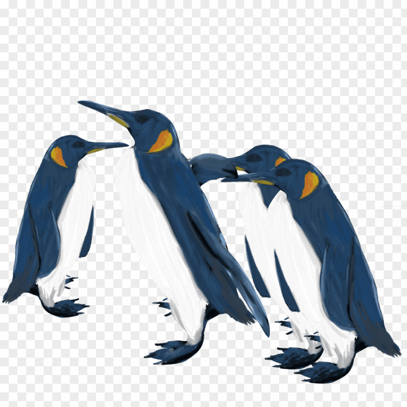 Penguin King Emperor Animal Illustration PNG