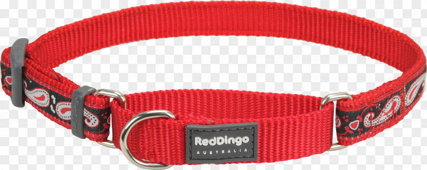 Red Collar Dog Dingo Clothing Accessories Strap PNG