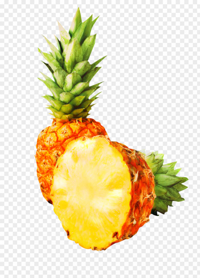 Vegan Nutrition Poales Pineapple Cartoon PNG