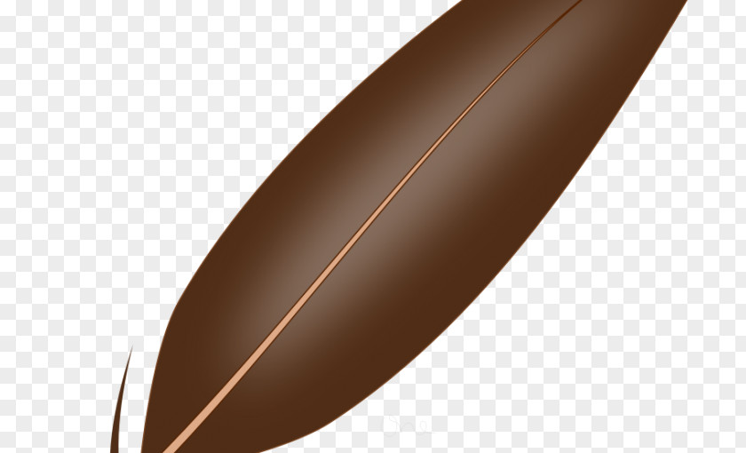 Feathers Vector Wood /m/083vt Brown PNG