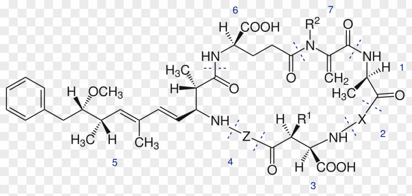 Microcystis Microcystin-LR Toxin Blue-green Bacteria Chemical Compound PNG