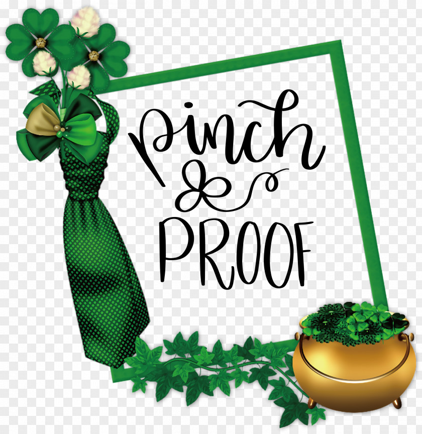 Pinch Proof St Patricks Day Saint Patrick PNG