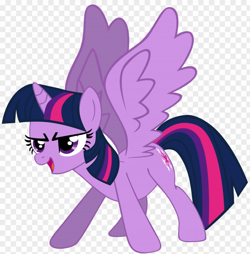 Twilight Sparkle Pony Rarity Rainbow Dash Pinkie Pie PNG