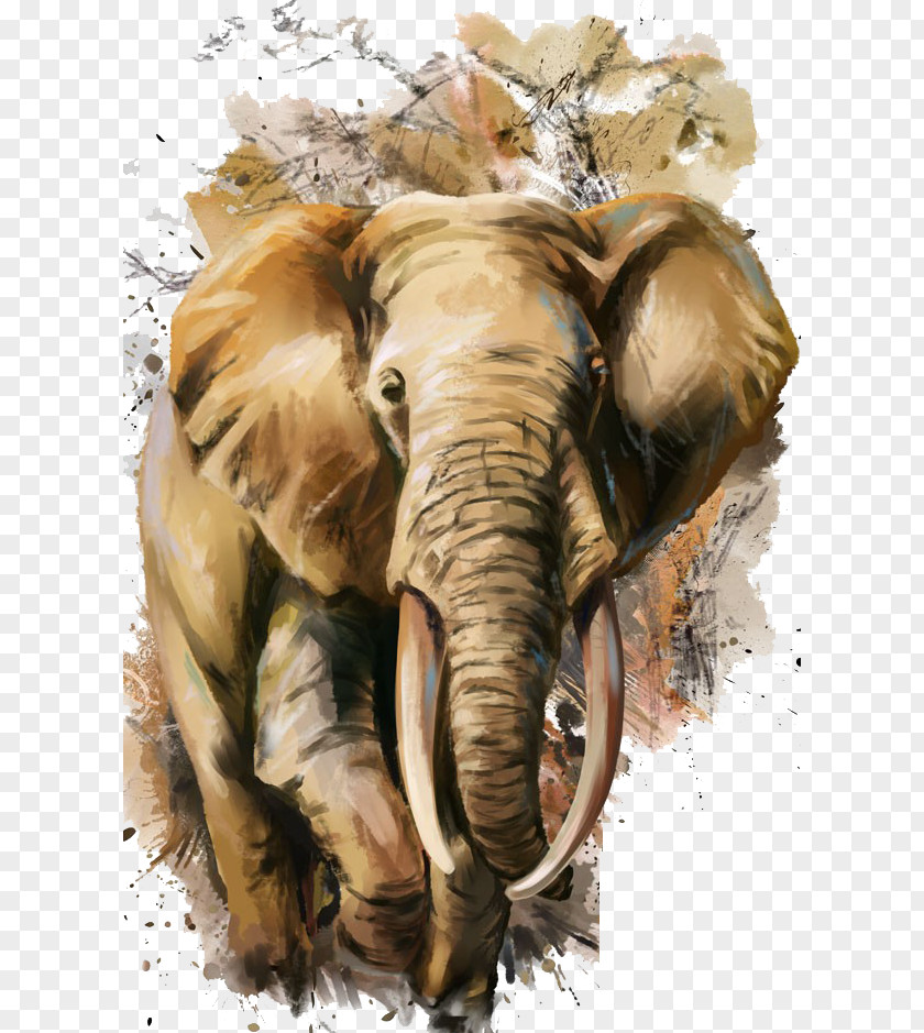 Watercolor Elephant PNG elephant clipart PNG