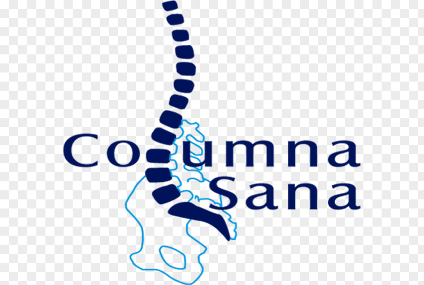 Columna Vertebral Column Spinal Nerve Scoliosis Surgery PNG