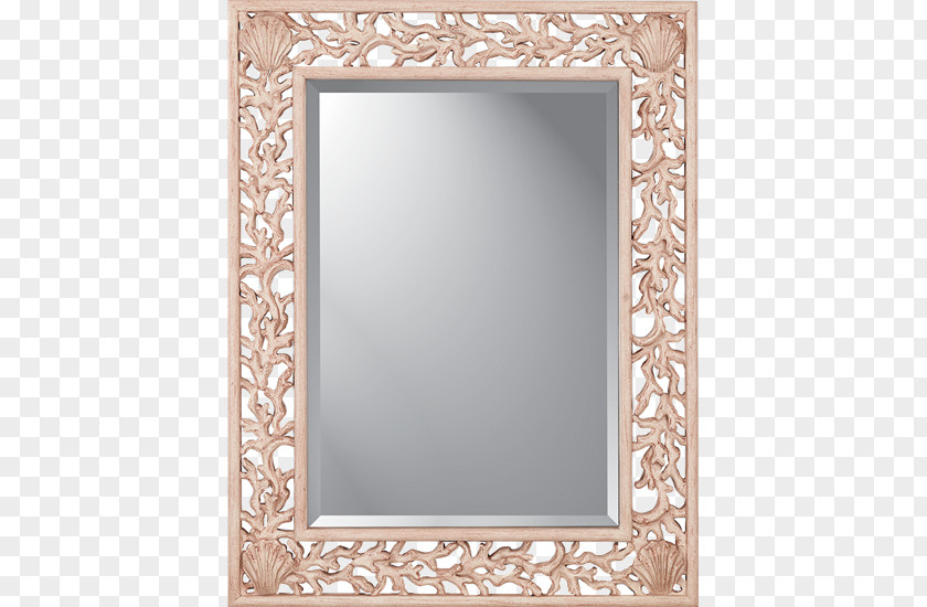 Coral Mirror Color Paragon Casual Wall Picture Frames Rectangle Image PNG