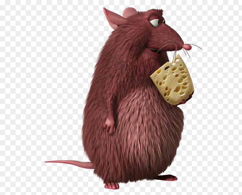 Fare Skinner Rodent Rat Computer Mouse Clip Art PNG