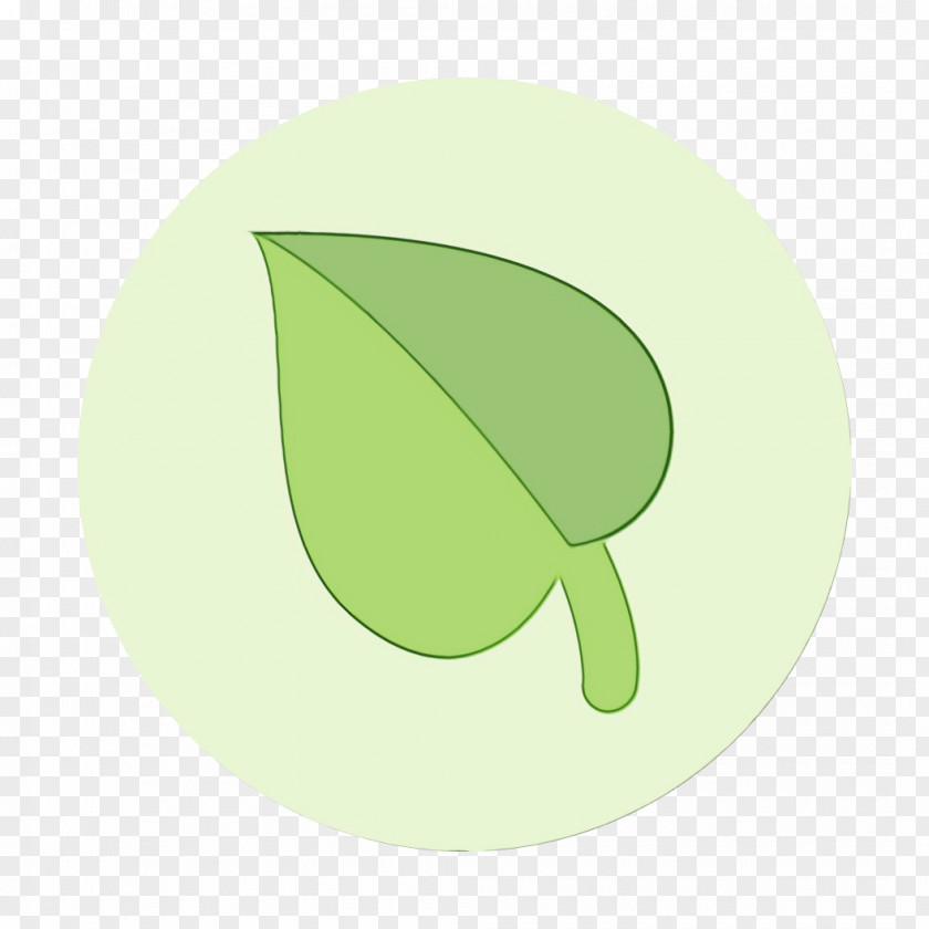 Green Leaf Plant Tree Fruit PNG