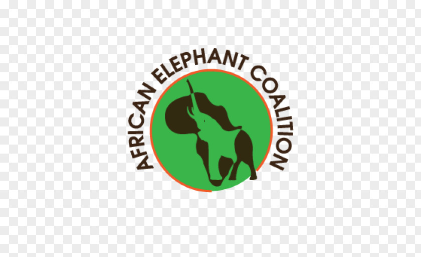 Lion African Elephant Elephantidae Save The Elephants PNG