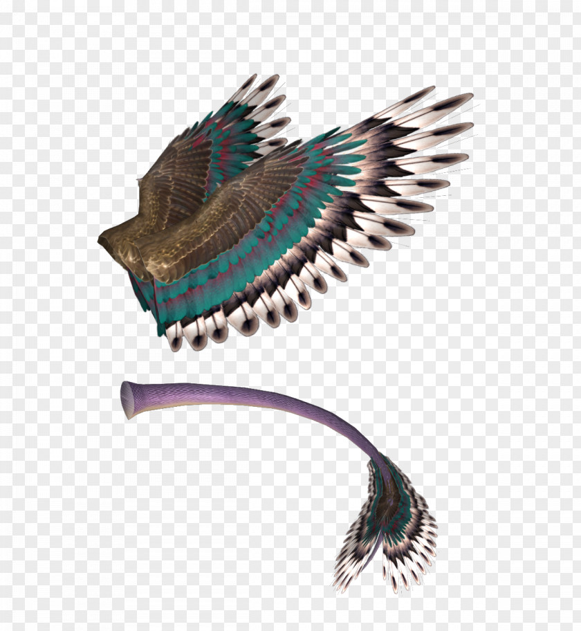 Mesh Texture Wing Feather Beak PNG