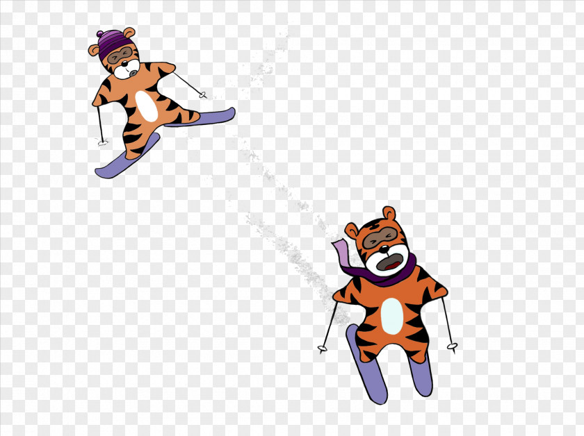 Tiger Skiing Freeskiing Snow Illustration PNG