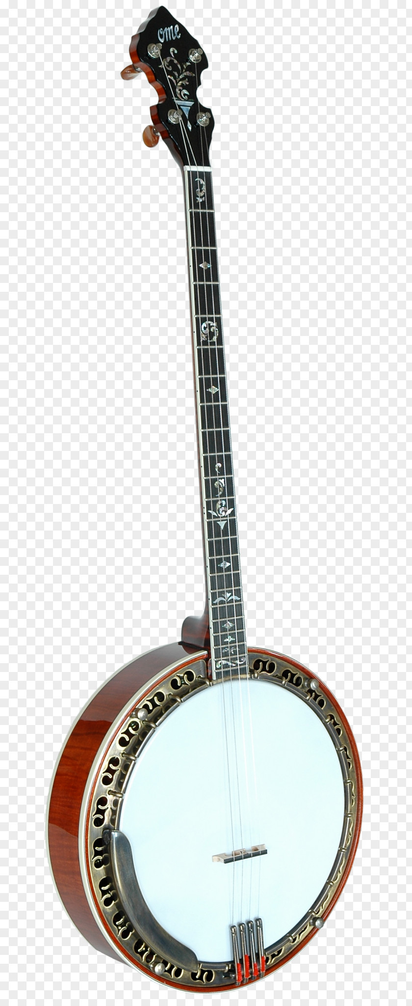 Bass Guitar Banjo Uke String Instruments PNG