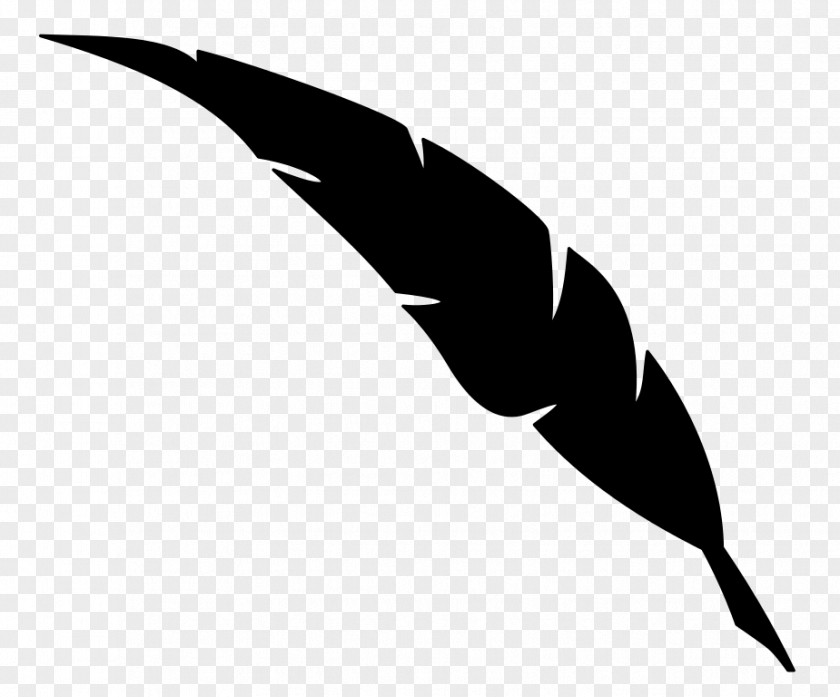 Beak Clip Art Feather Line Mammal PNG
