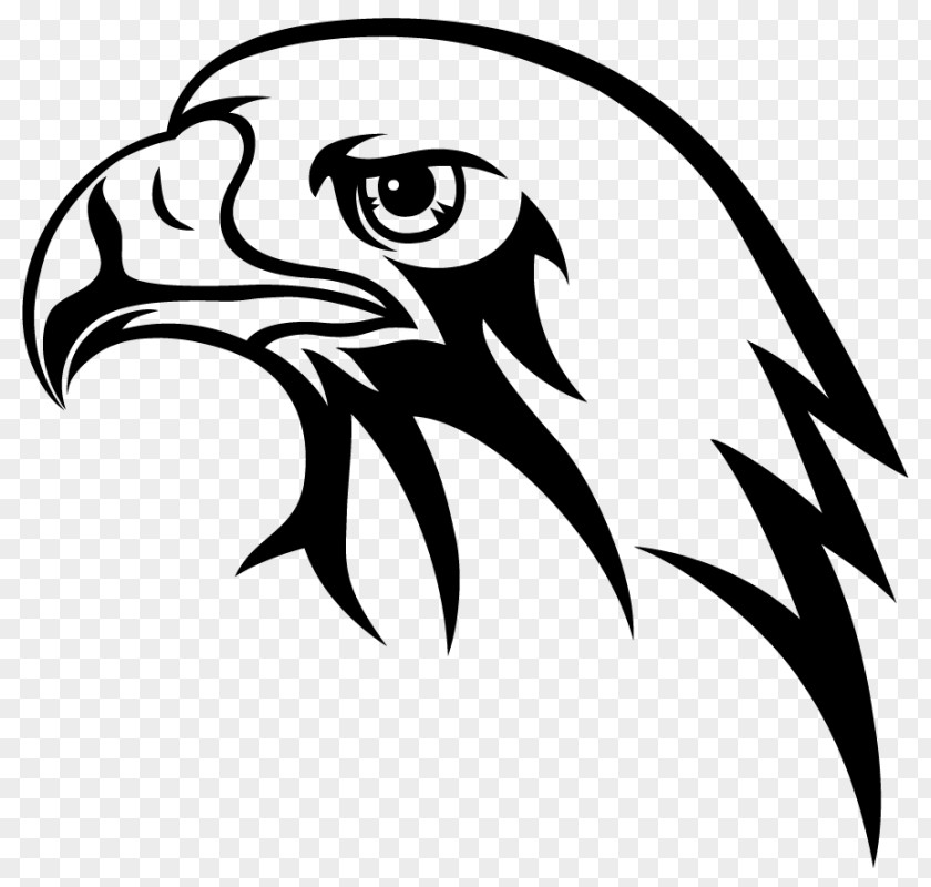 Car Bald Eagle Bumper Sticker Clip Art PNG