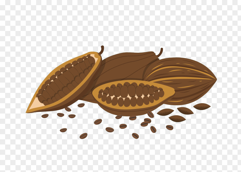 Coffee Beans Bean Cocoa PNG