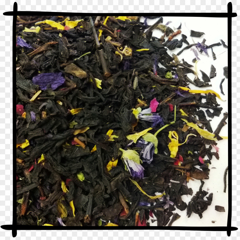 Leaves Ink Nilgiri Tea Oolong Plant Scrap PNG