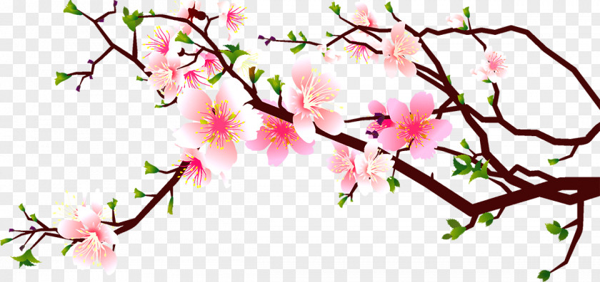 Peach Corner Decoration Cherry Blossom Clip Art PNG