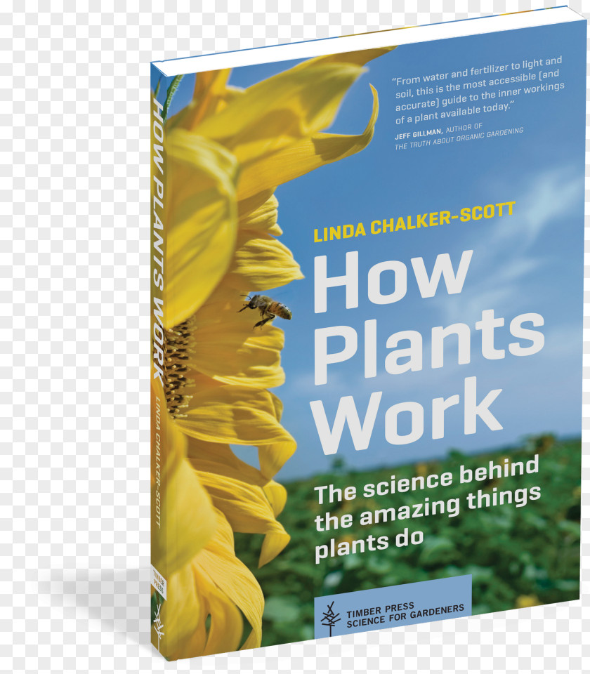 Plant How Plants Work: The Science Behind Amazing Things Do Book Paperback PNG