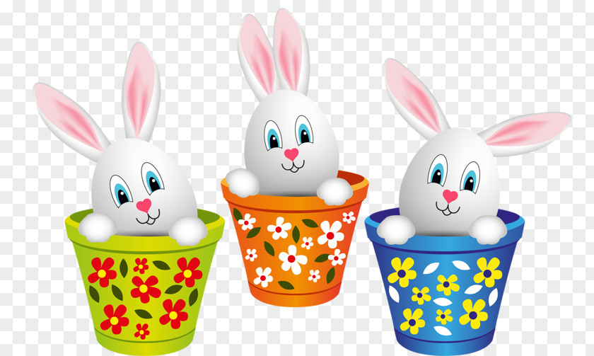 Rabbit Easter Bunny Leporids Drawing PNG