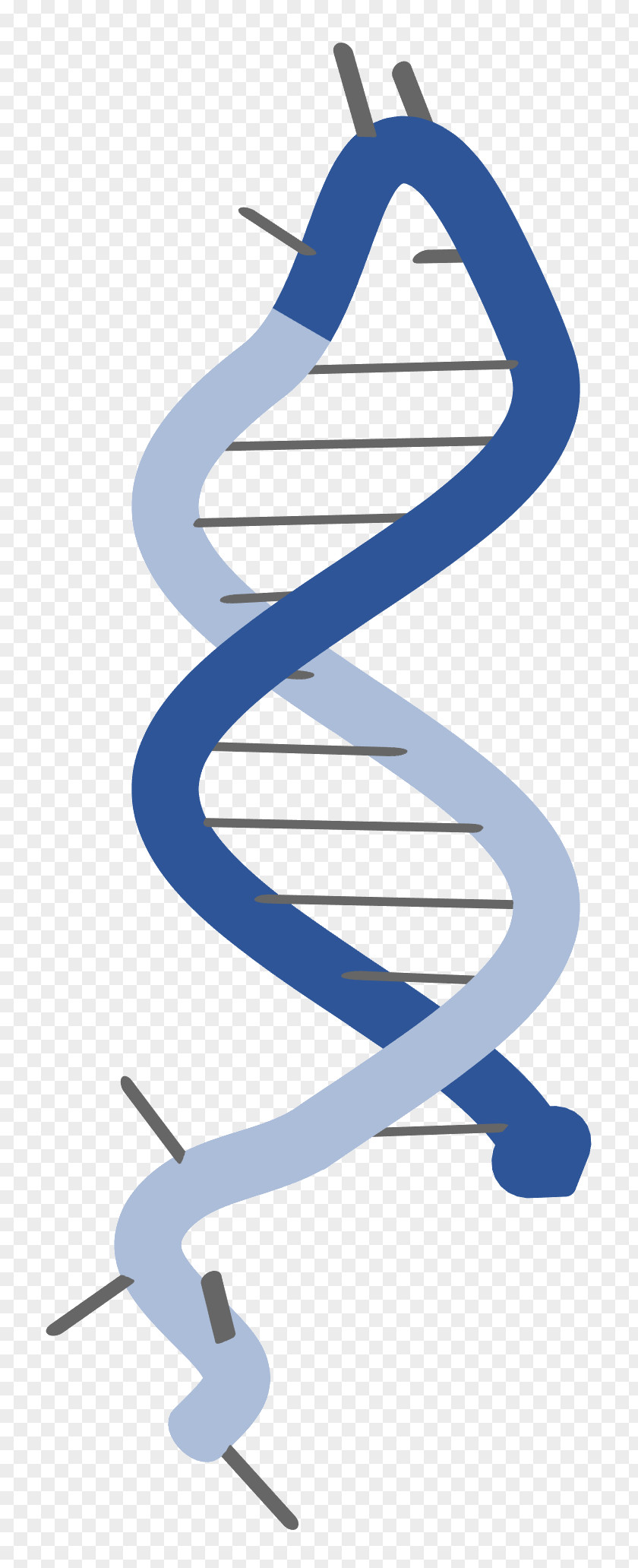 Science Molecular Biology Messenger RNA Research DNA PNG