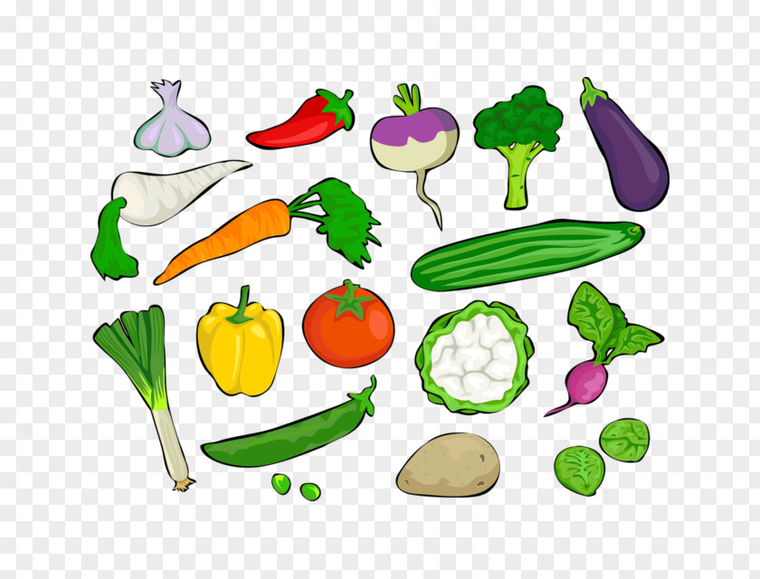 Vegetable Food Daikon Clip Art PNG