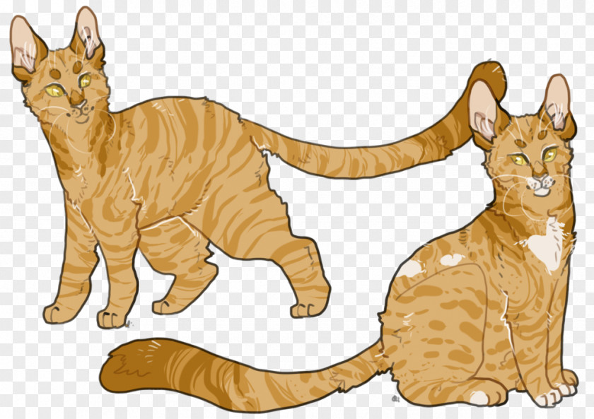 Ashen Whiskers Tabby Cat Wildcat Dog PNG