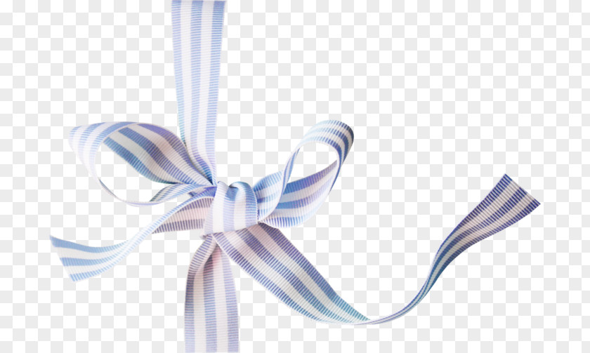 Blue Ribbon Bow PNG