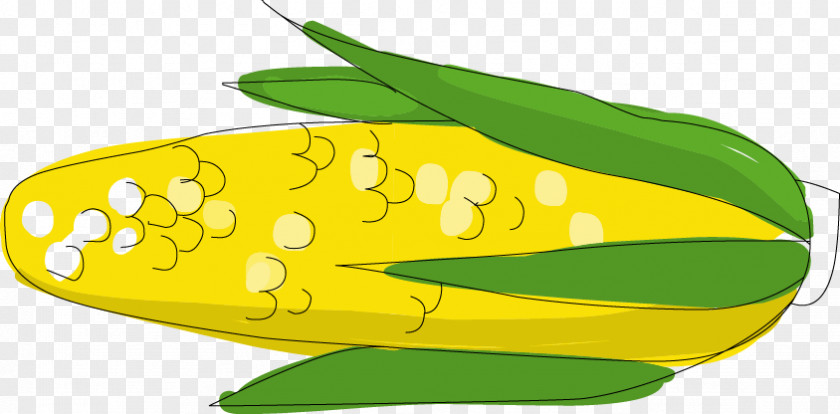 Cartoon Corn Maize Food Illustration PNG
