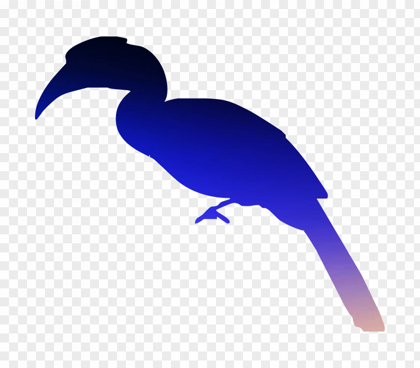 Clip Art Cygnini Goose Beak Duck PNG