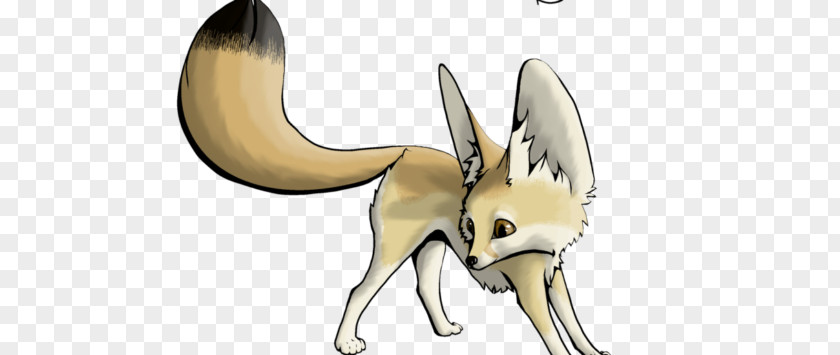 Fennec Fox Canidae Red Drawing PNG