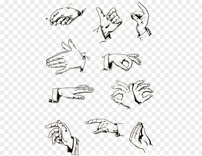 Hand Gesture Speak Italian: The Fine Art Of Meaning Language PNG