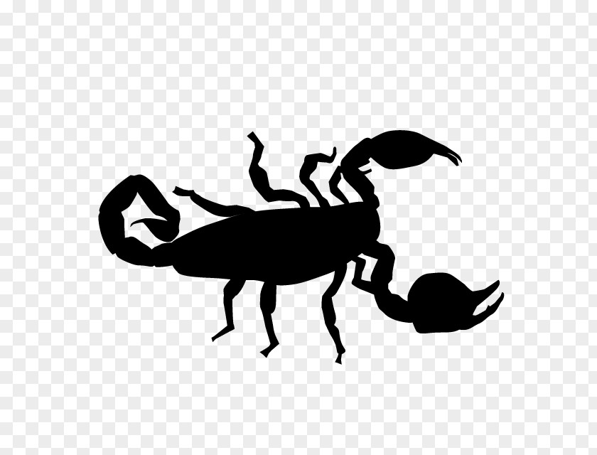 Insect Silhouette Black Cartoon Clip Art PNG