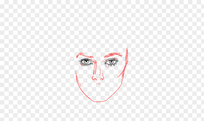Nose Cheek Eyebrow Drawing PNG