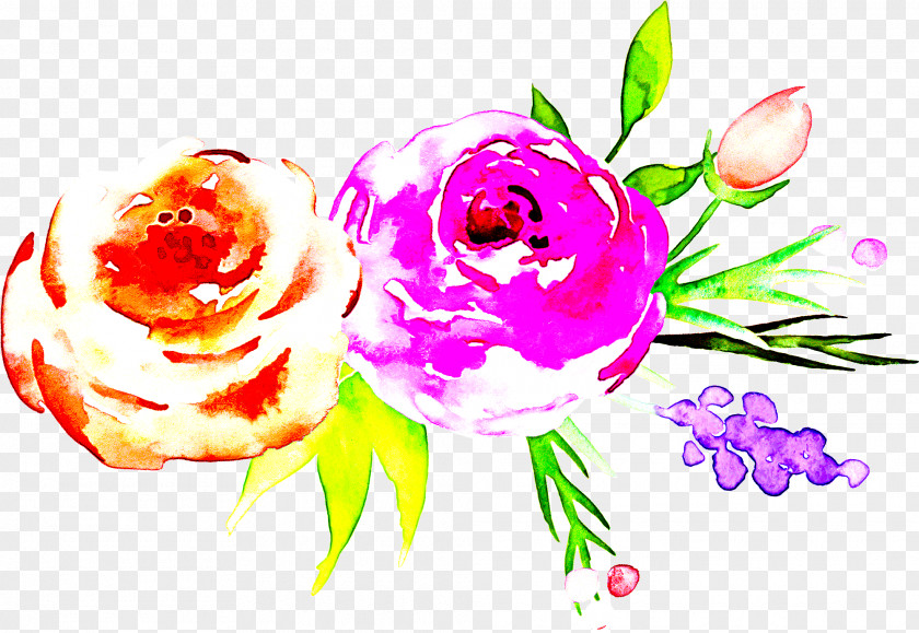 Cut Flowers Petal Rose PNG