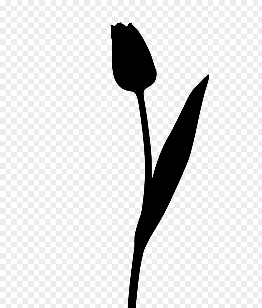Flower Clip Art Plant Stem Leaf Line PNG