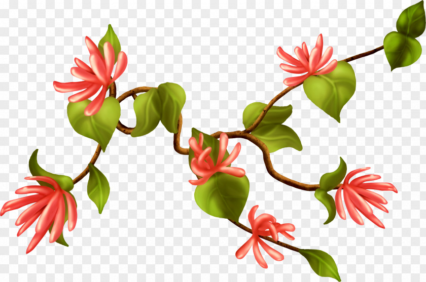 Flower Plant Stem Clip Art PNG