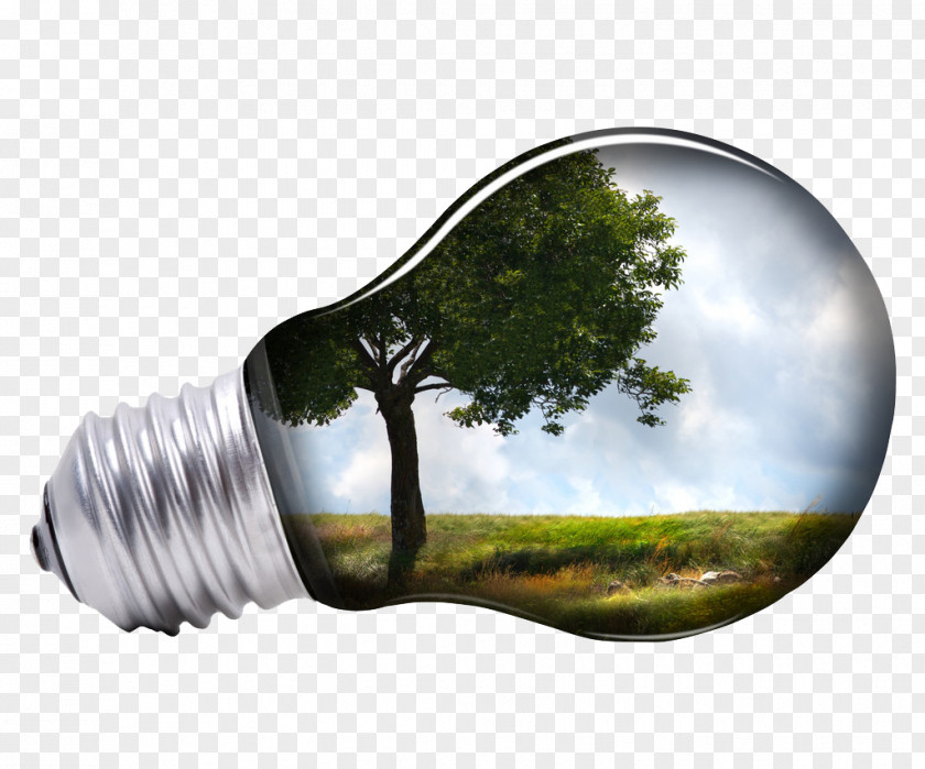 Light Bulb Renewable Energy Solar Power Business PNG