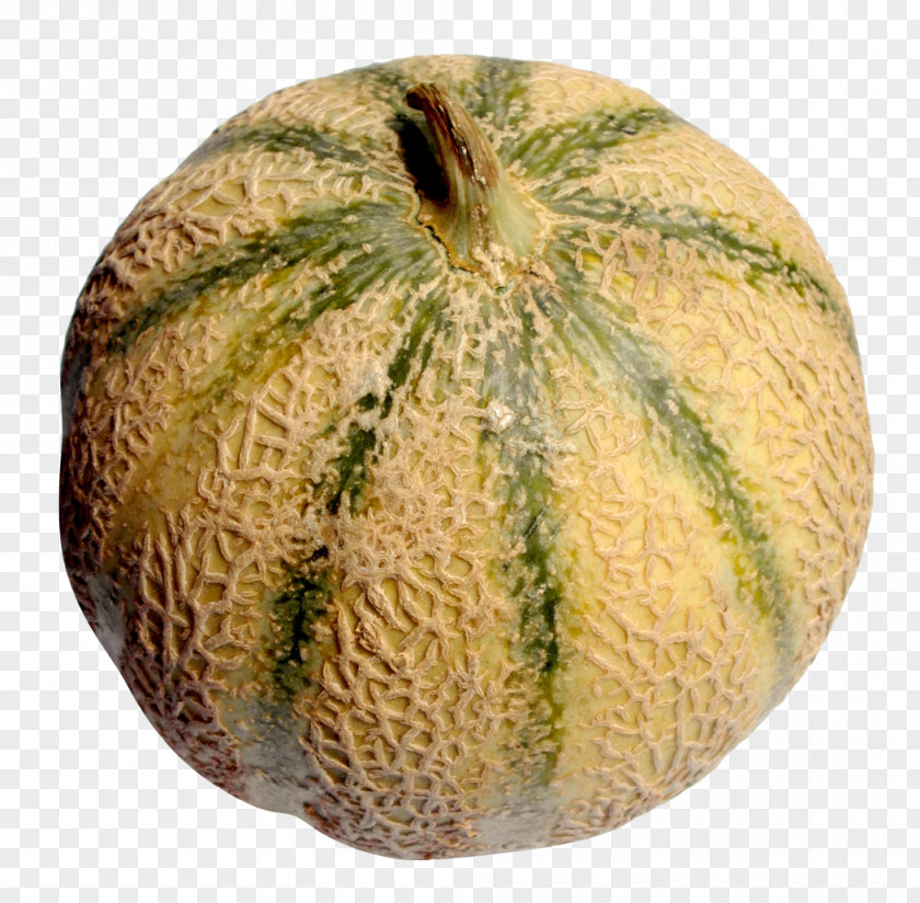 Melon Honeydew Cantaloupe Galia PNG