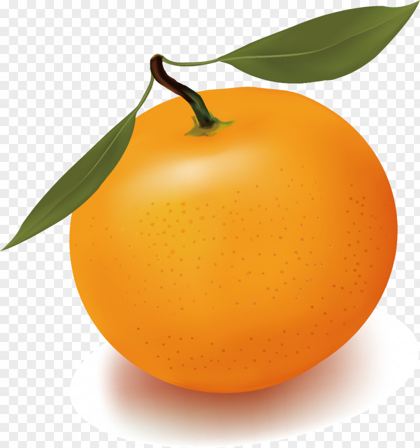 Orange Vector Juice Free Content Clip Art PNG