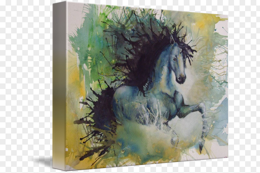 Painted Horse Watercolor Painting Mustang Stallion Mane PNG
