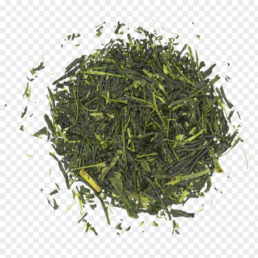 Tea Gyokuro Nilgiri Oolong Keemun PNG