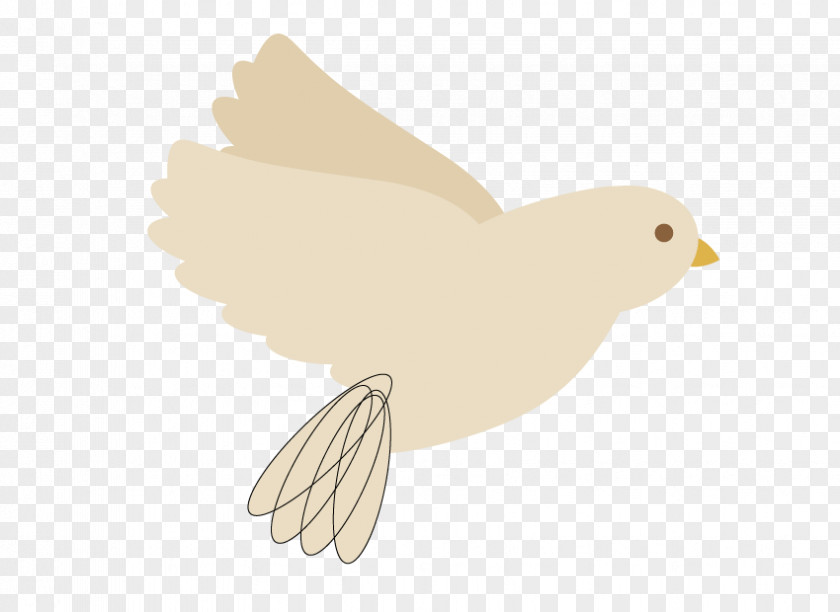 Algeria Streamer Duck Bird Of Prey Clip Art Beak PNG