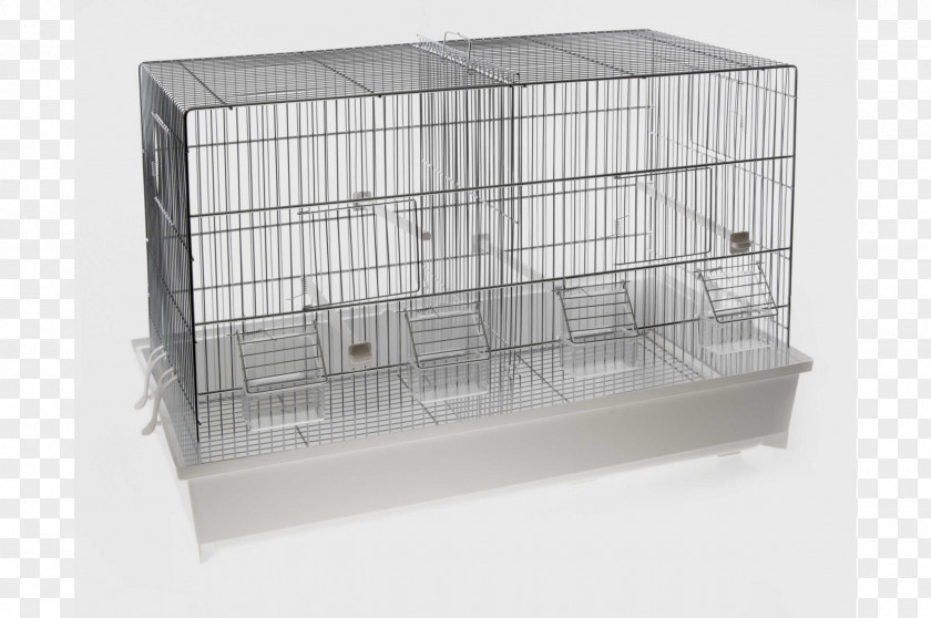 Bird Domestic Canary Cage Mauser Highway M06 PNG