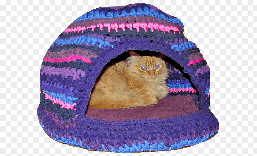 Cat Wool Fur Hat Bed PNG