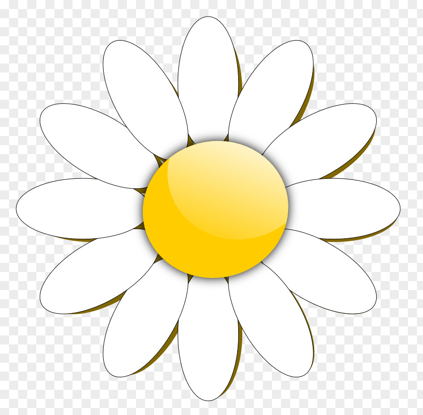 Free Flower Clipart Content Common Daisy Clip Art PNG