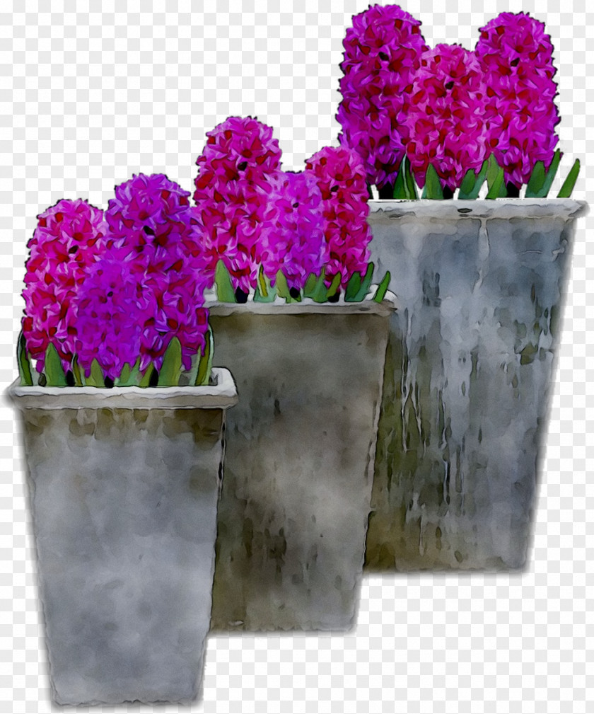 Lavender Flowerpot Houseplant Purple Shrub PNG