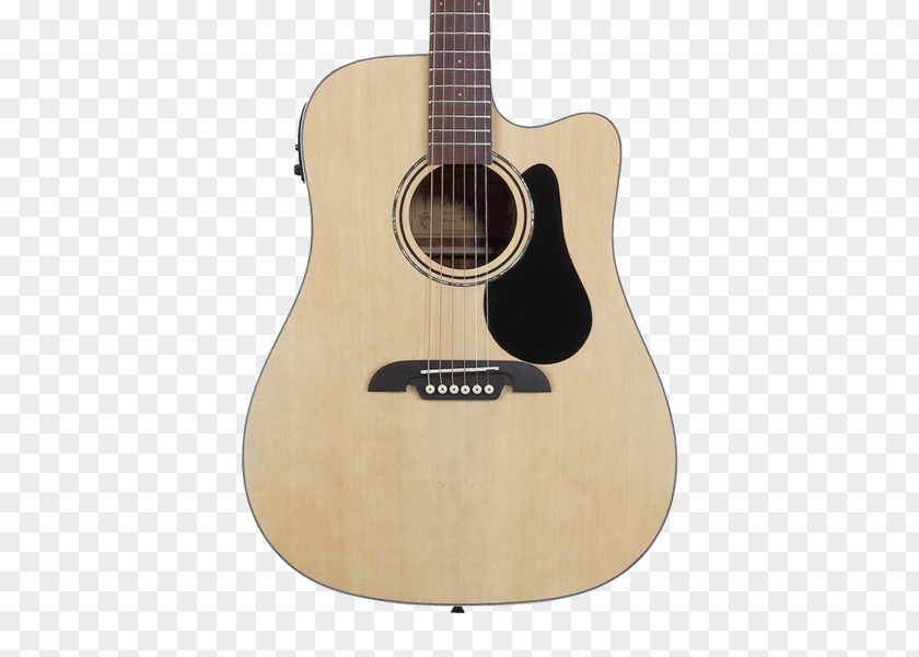Acoustic Gig Acoustic-electric Guitar Dreadnought PNG