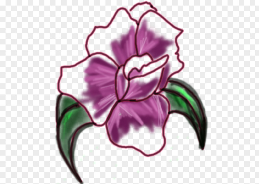 Design Floral Cut Flowers Drawing PNG